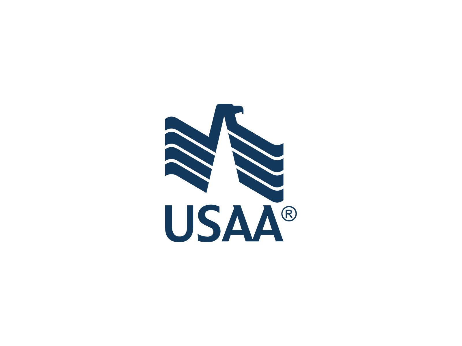 Complete Product Recommendations | Rachel's Specification Notes 111 USAA Auto Insurance